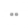 Boucles d'oreilles Stud en argent rhodié et zirconium
